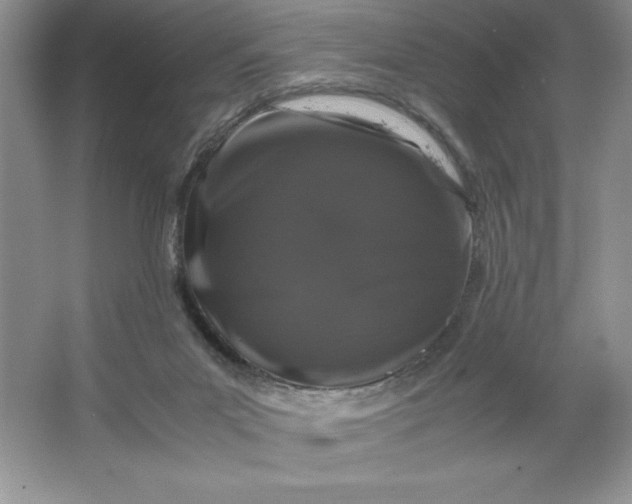 X0000066110023200603241556