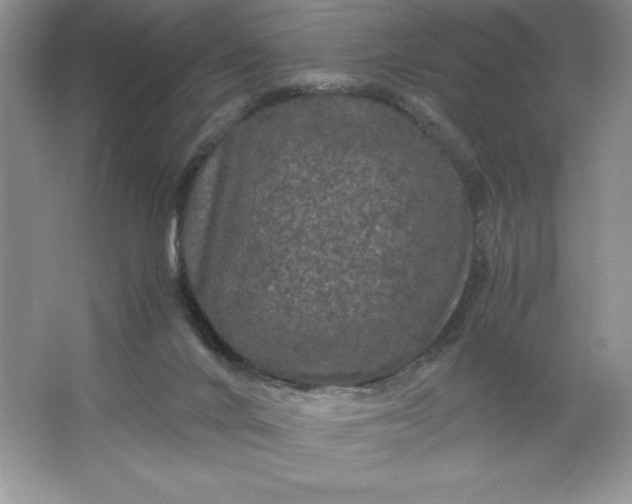 X0000066110024200603241556