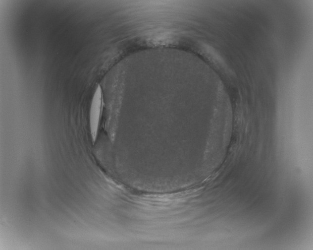 X0000066110025200603241556