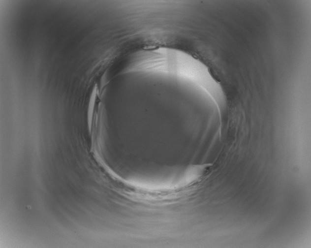 X0000066110027200603241556