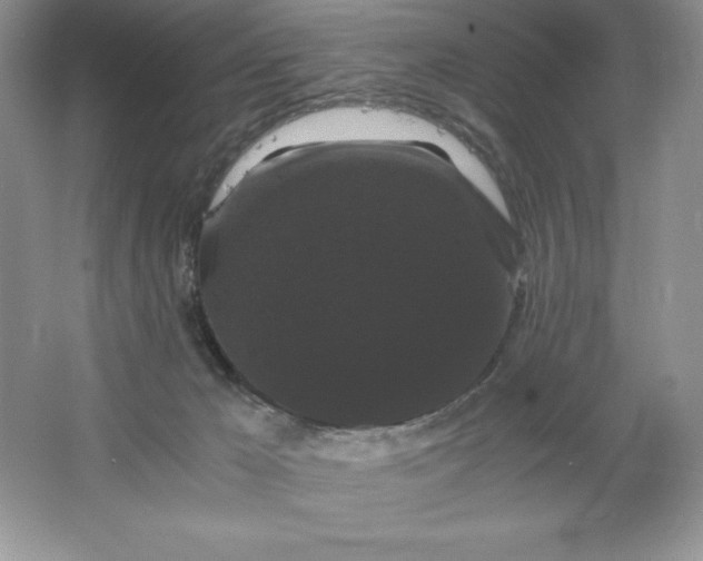 X0000066110029200603241556