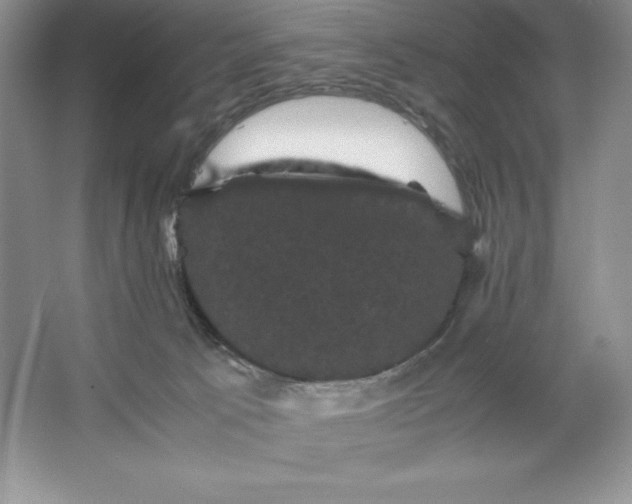 X0000066110033200603241556