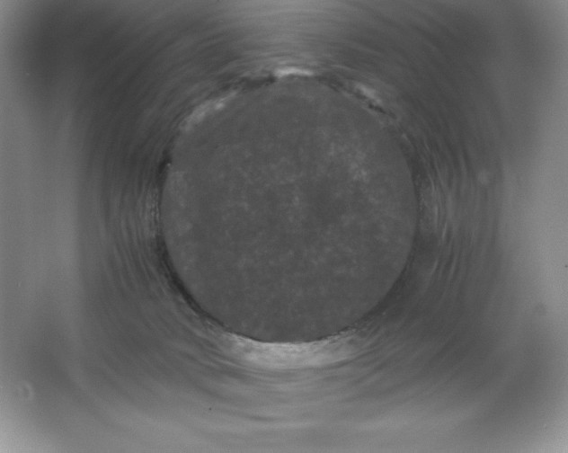 X0000066110034200603241555