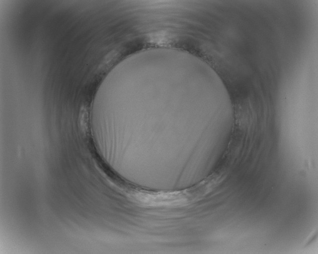 X0000066110036200603241555