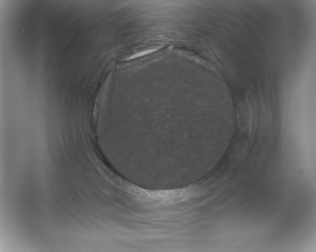 X0000066110038200603241555