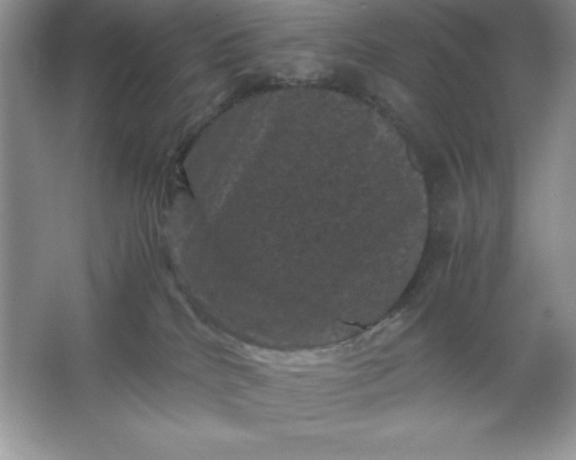 X0000066110040200603241555