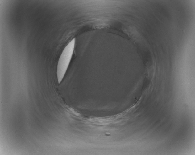 X0000066110041200603241555