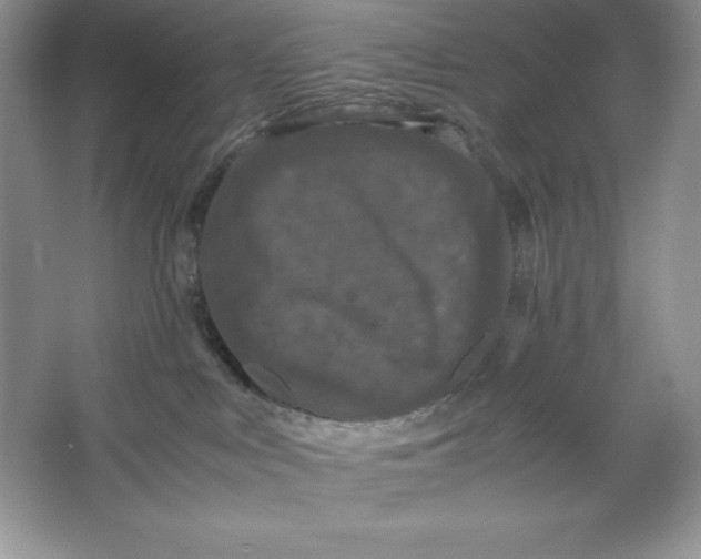 X0000066110043200603241555