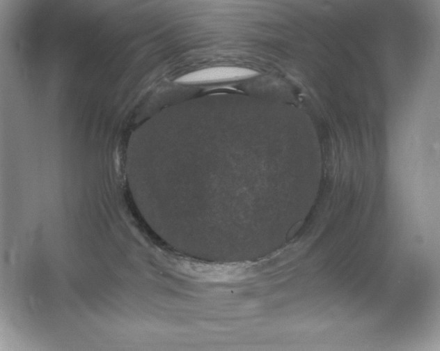 X0000066110044200603241555