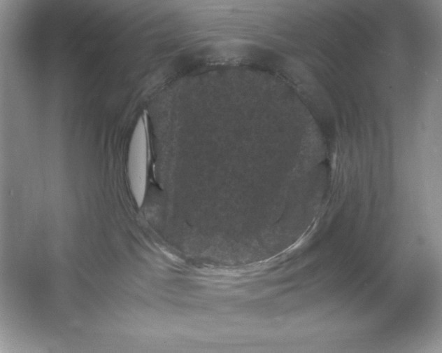 X0000066110045200603241555
