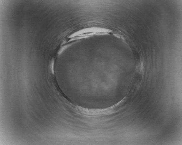 X0000066110047200603241555