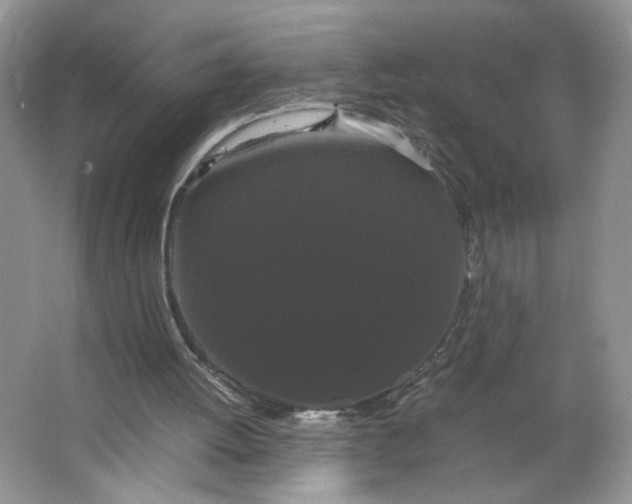 X0000066110052200603241554