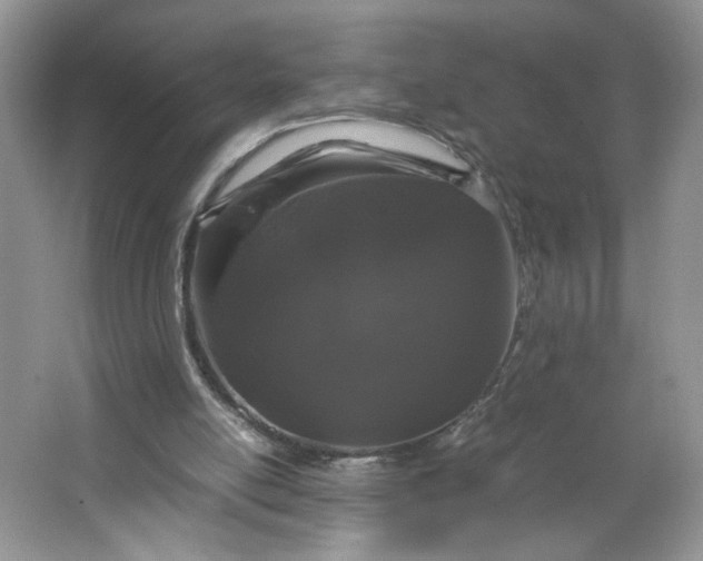 X0000066110054200603241555