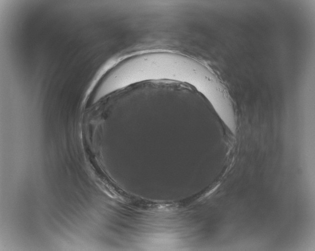 X0000066110056200603241555