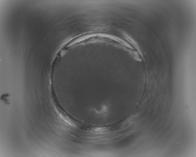 X0000066110059200603241555