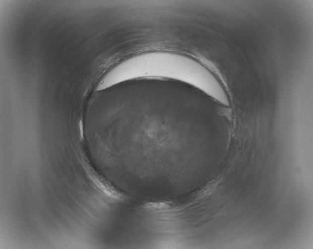 X0000066110061200603241555