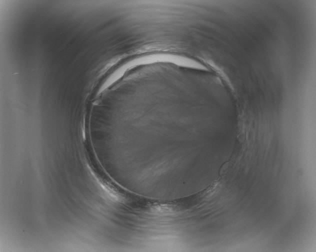 X0000066110062200603241555