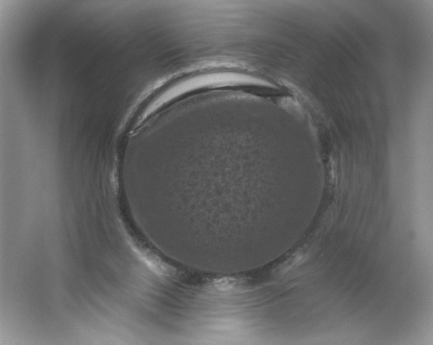 X0000066110064200603241555