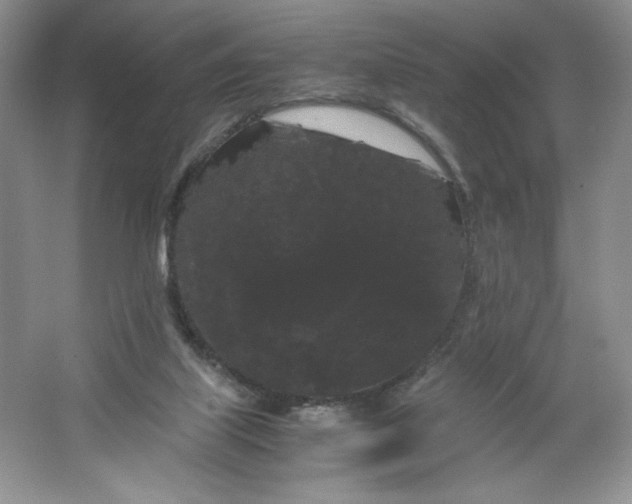 X0000066110067200603241555