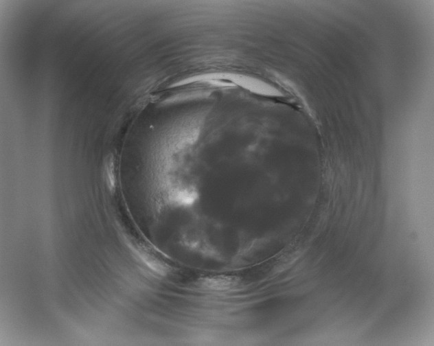 X0000066110069200603241555
