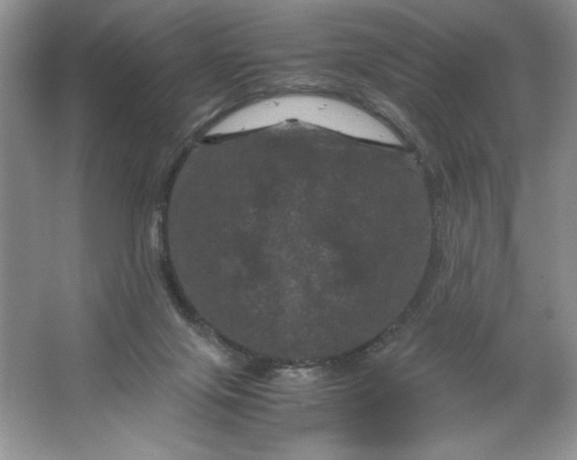 X0000066110071200603241555