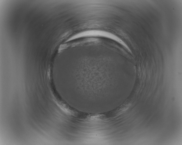X0000066110072200603241555