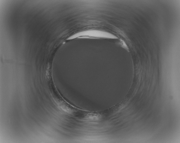X0000066110073200603241555