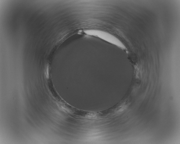 X0000066110076200603241555