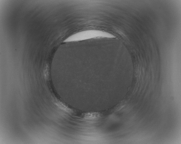 X0000066110077200603241555