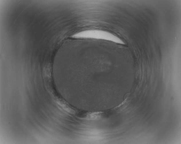 X0000066110078200603241555