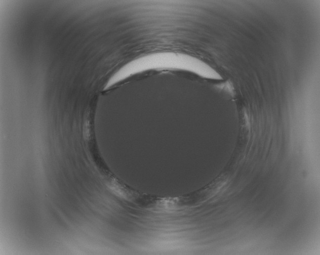 X0000066110080200603241555