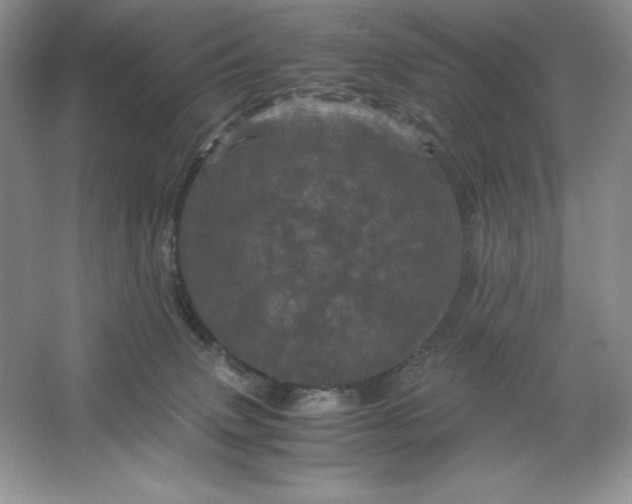 X0000066110083200603241555
