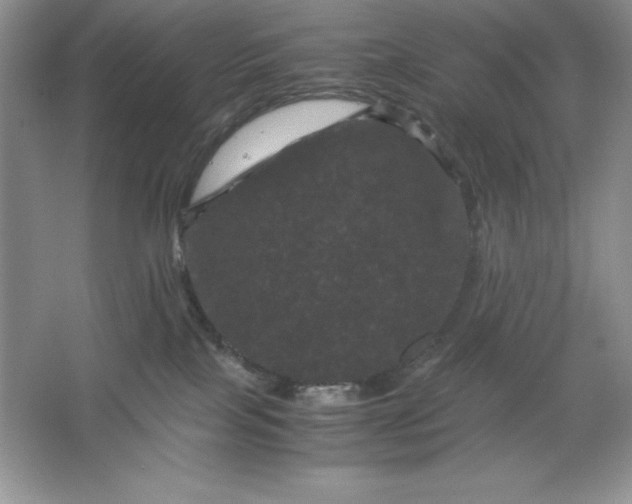 X0000066110089200603241555