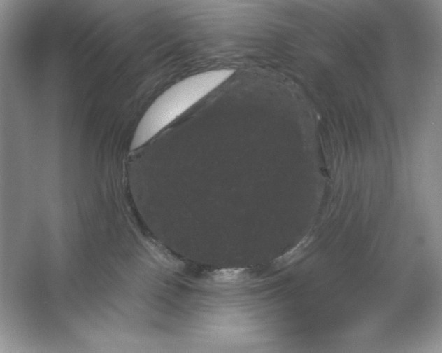 X0000066110090200603241555