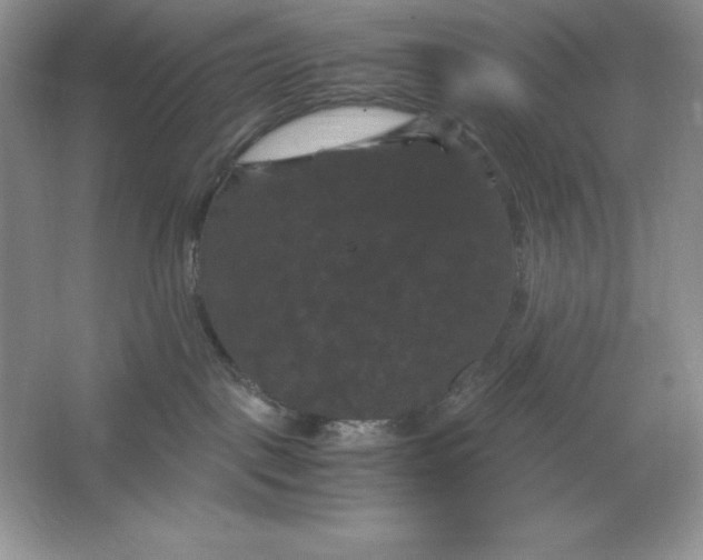 X0000066110093200603241555