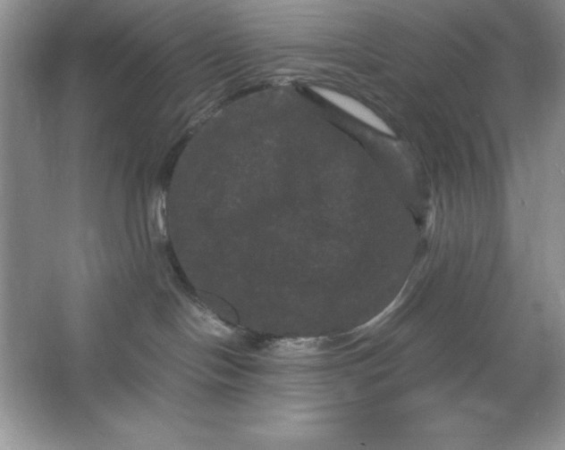 X0000066110094200603241555