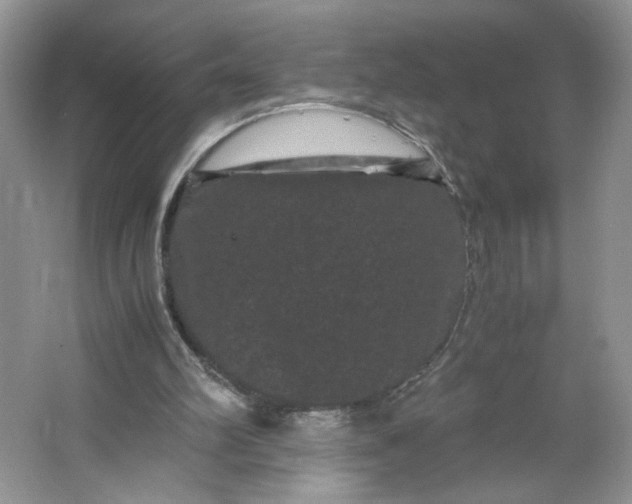 X0000066110102200603241554