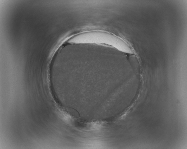 X0000066110103200603241554