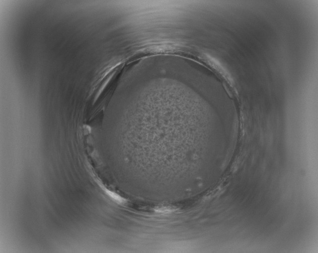 X0000066110105200603241554
