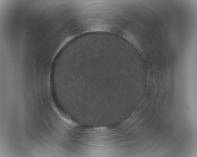 X0000066110108200603241554