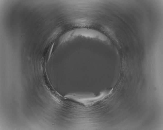 X0000066110114200603241554