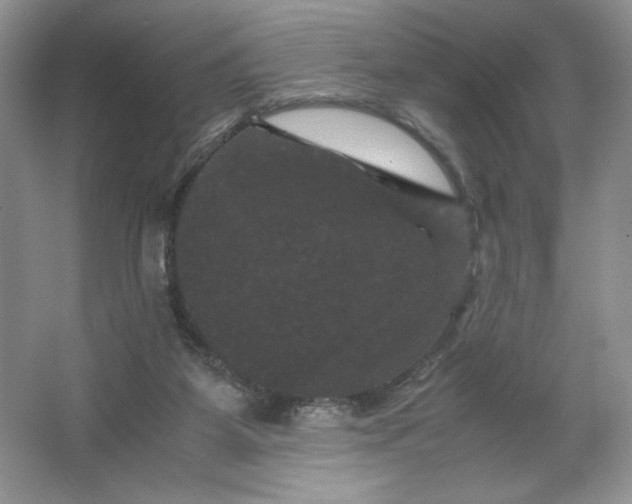 X0000066110115200603241554