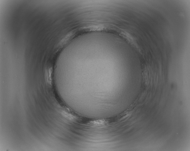 X0000066110118200603241554