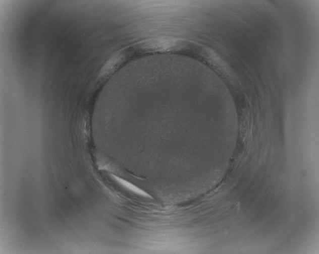 X0000066110119200603241554