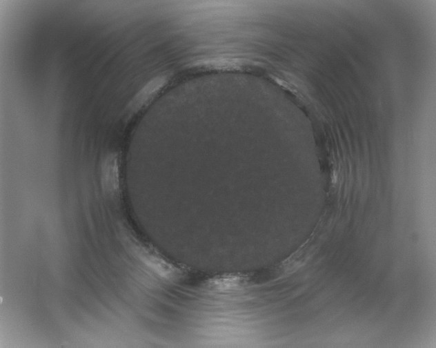 X0000066110120200603241554