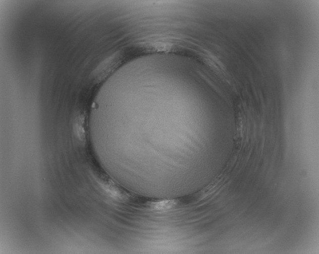 X0000066110122200603241554