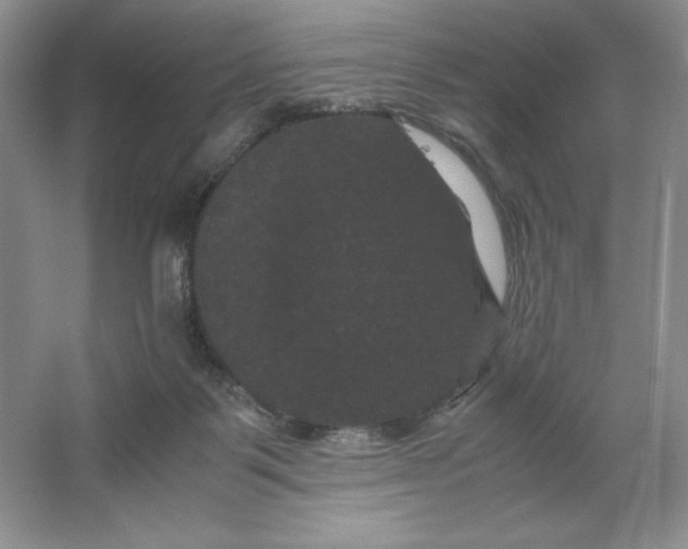 X0000066110123200603241554