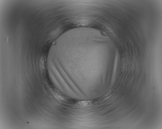 X0000066110126200603241554