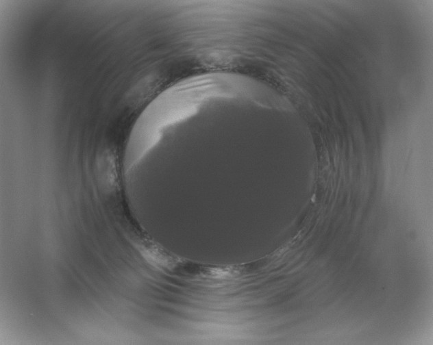 X0000066110130200603241554