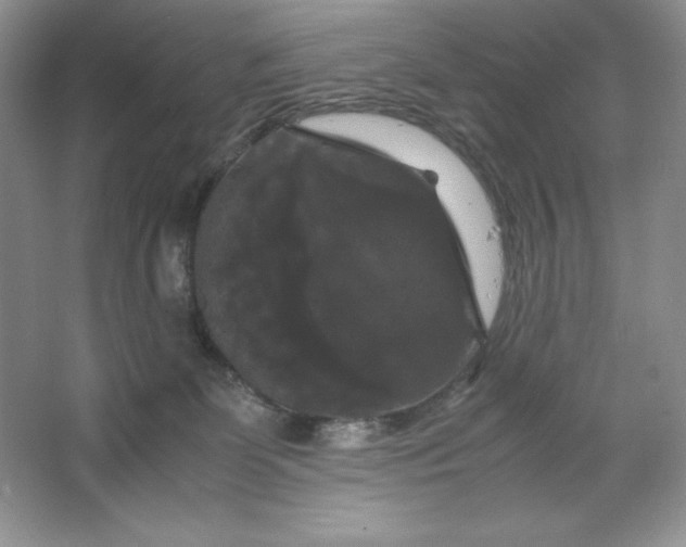 X0000066110131200603241554